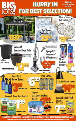 Catalogue Big Lots from 04/13/2026