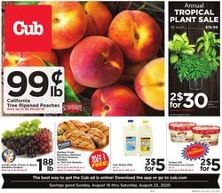 Catalogue Cub Foods from 08/16/2020