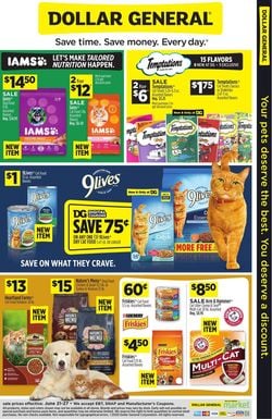 Catalogue Dollar General from 06/21/2020