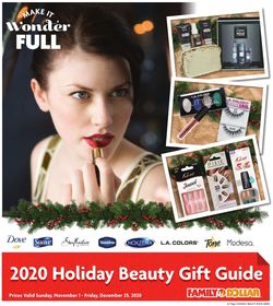 Catalogue Family Dollar Holiday 2020 from 11/01/2020