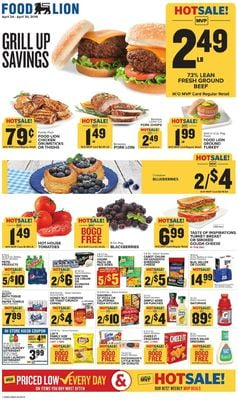 Catalogue Food Lion from 04/24/2019