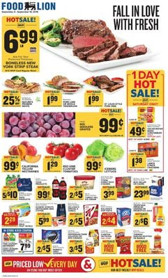 Catalogue Food Lion from 09/04/2019