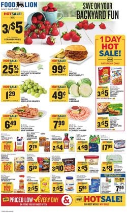 Catalogue Food Lion from 06/03/2020