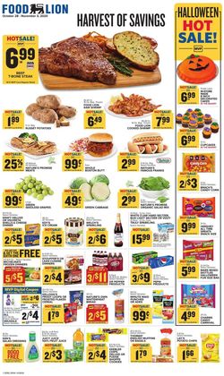 Catalogue Food Lion from 10/28/2020