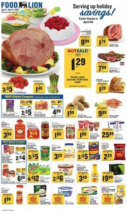 Catalogue Food Lion from 04/05/2023