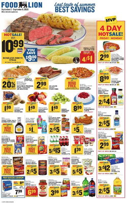 Catalogue Food Lion from 09/02/2026