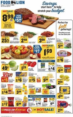 Catalogue Food Lion from 10/11/2023