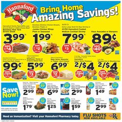 Catalogue Hannaford from 10/30/2022