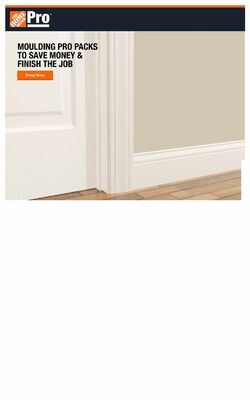 Catalogue Home Depot from 06/17/2024
