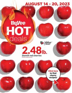 Catalogue HyVee from 08/14/2023