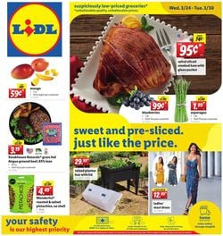 Catalogue Lidl from 03/24/2021