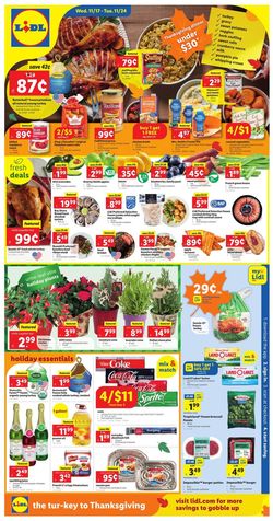 Catalogue Lidl from 11/17/2021