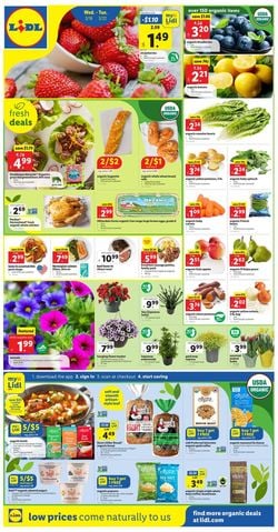 Catalogue Lidl from 03/16/2022