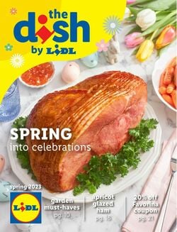 Catalogue Lidl from 03/01/2023