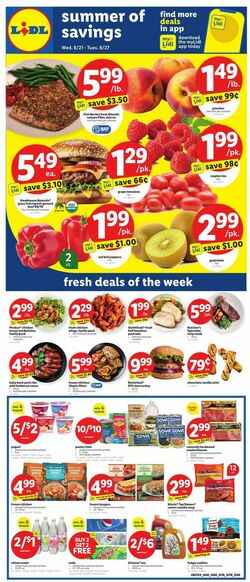 Catalogue Lidl from 08/21/2024