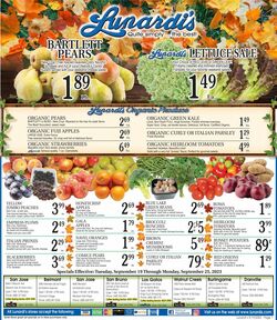Catalogue Lunardi's from 09/19/2023