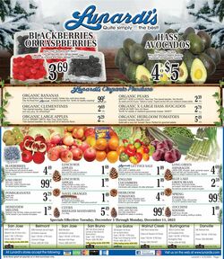 Catalogue Lunardi's from 12/05/2023