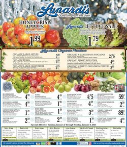 Catalogue Lunardi's from 01/02/2024
