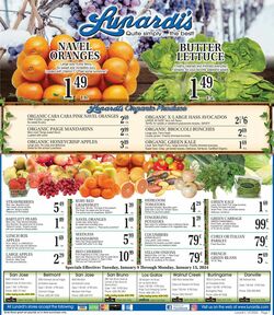 Catalogue Lunardi's from 01/09/2024