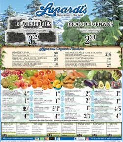 Catalogue Lunardi's from 01/16/2024