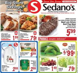 Catalogue Sedano's from 09/08/2021