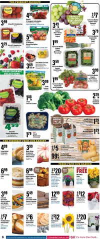 Catalogue Big Y from 09/22/2022