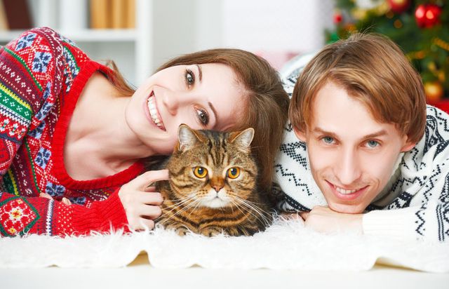 Christmas Gift and Present Ideas for Cat Lovers