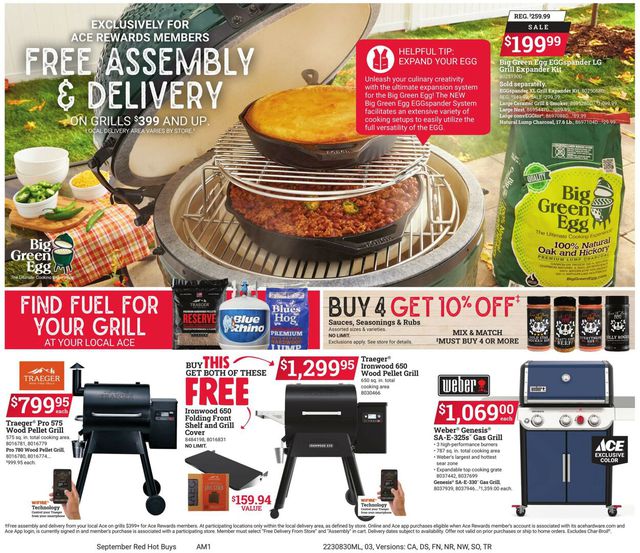 Catalogue Ace Hardware from 08/30/2023