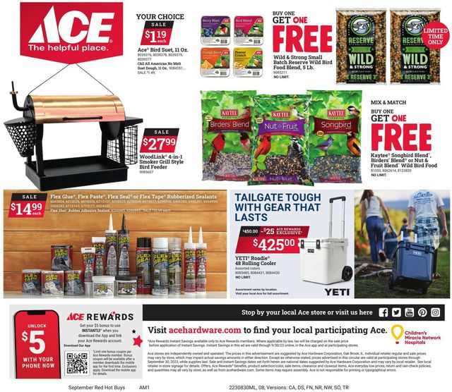 Catalogue Ace Hardware from 08/30/2023