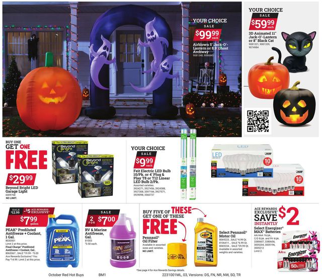 Catalogue Ace Hardware from 10/01/2023