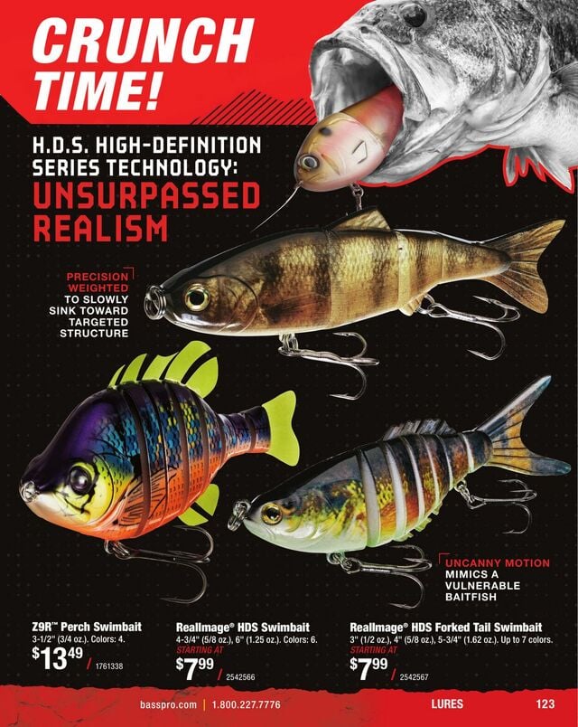 Catalogue Bass Pro from 01/31/2025