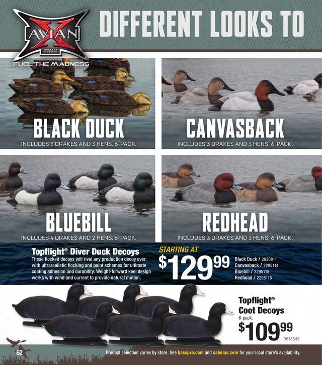 Catalogue Bass Pro from 10/01/2025