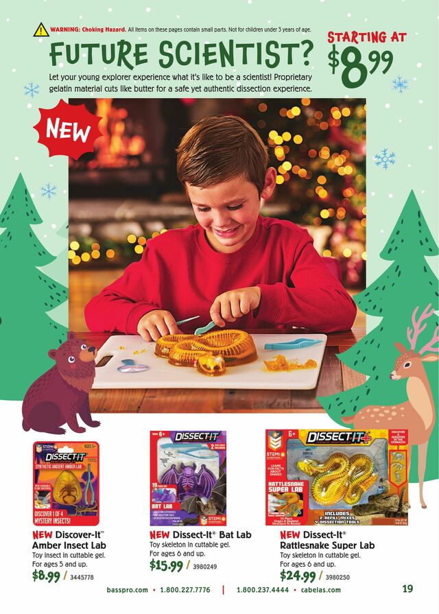 Catalogue Cabela's from 11/14/2024