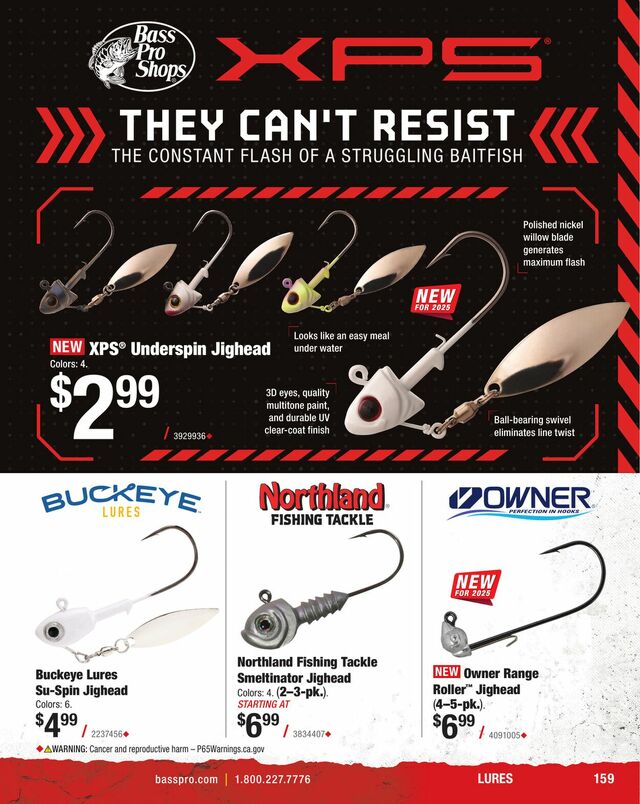 Catalogue Cabela's from 01/31/2025