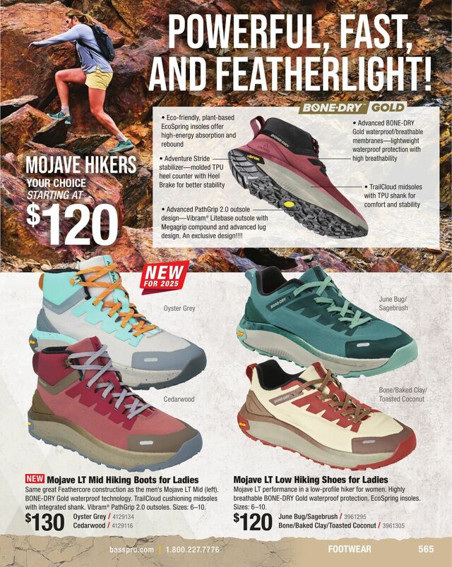 Catalogue Cabela's from 01/31/2025