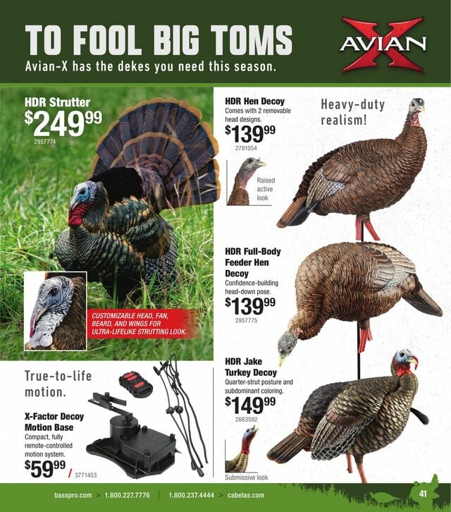 Catalogue Cabela's from 02/19/2025