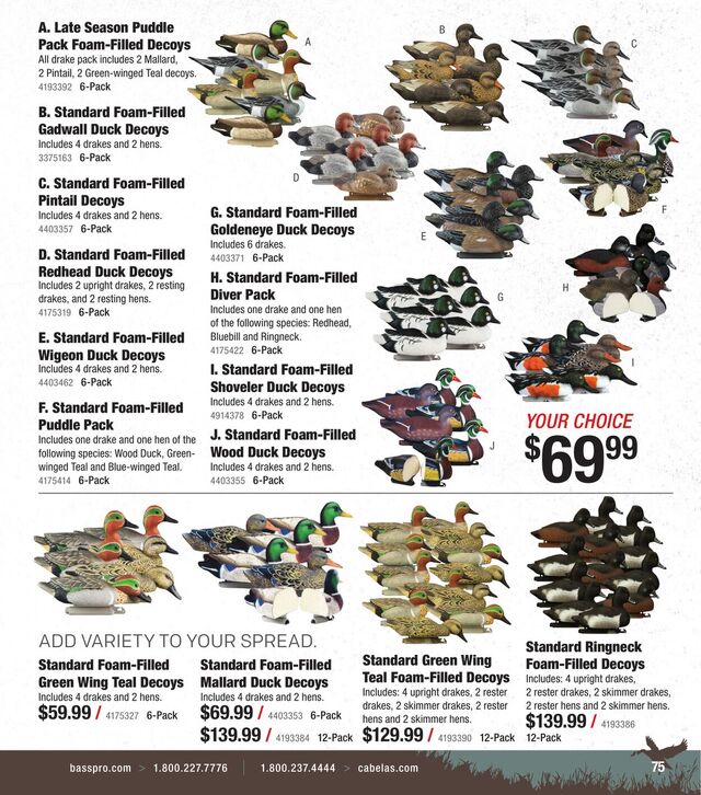 Catalogue Cabela's from 10/01/2025