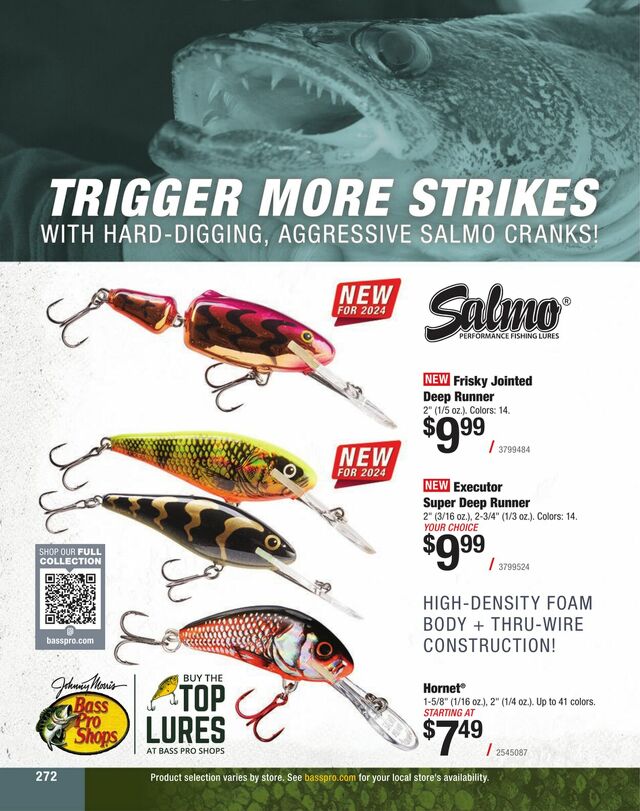 Catalogue Cabela's from 01/31/2024