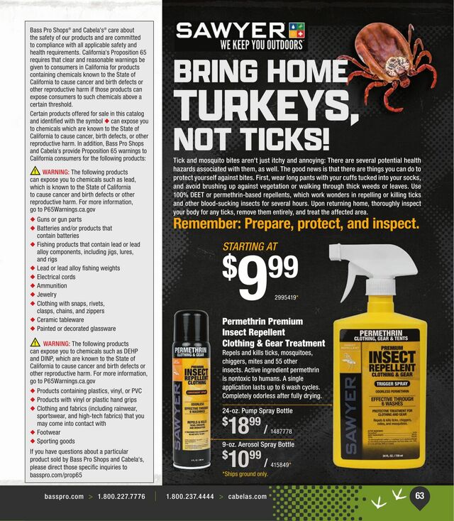 Catalogue Cabela's from 02/21/2024