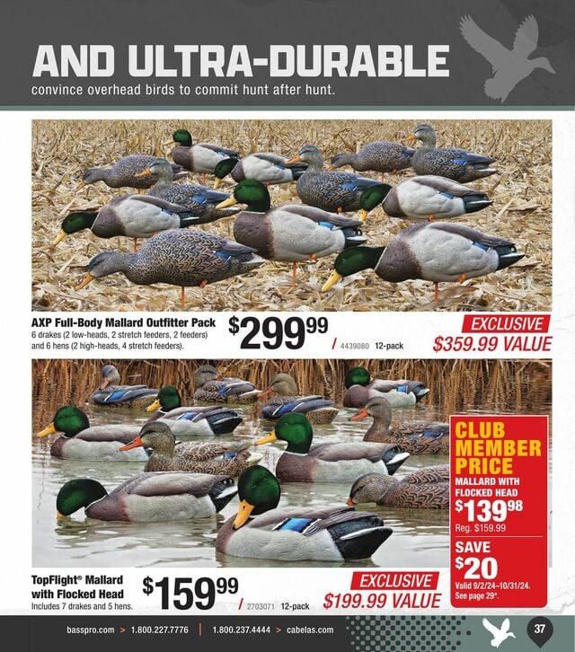 Catalogue Cabela's from 09/25/2024