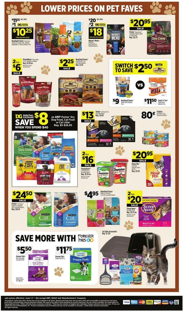 Catalogue Dollar General from 06/01/2025