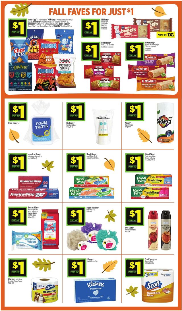 Catalogue Dollar General from 10/11/2026