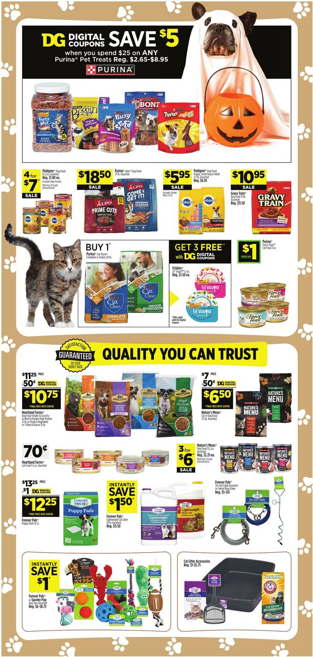 Catalogue Dollar General from 10/11/2026