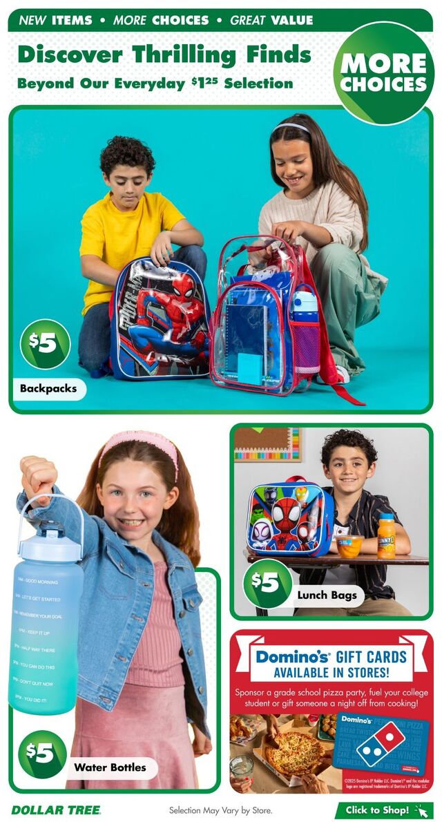 Catalogue Dollar Tree from 08/17/2025