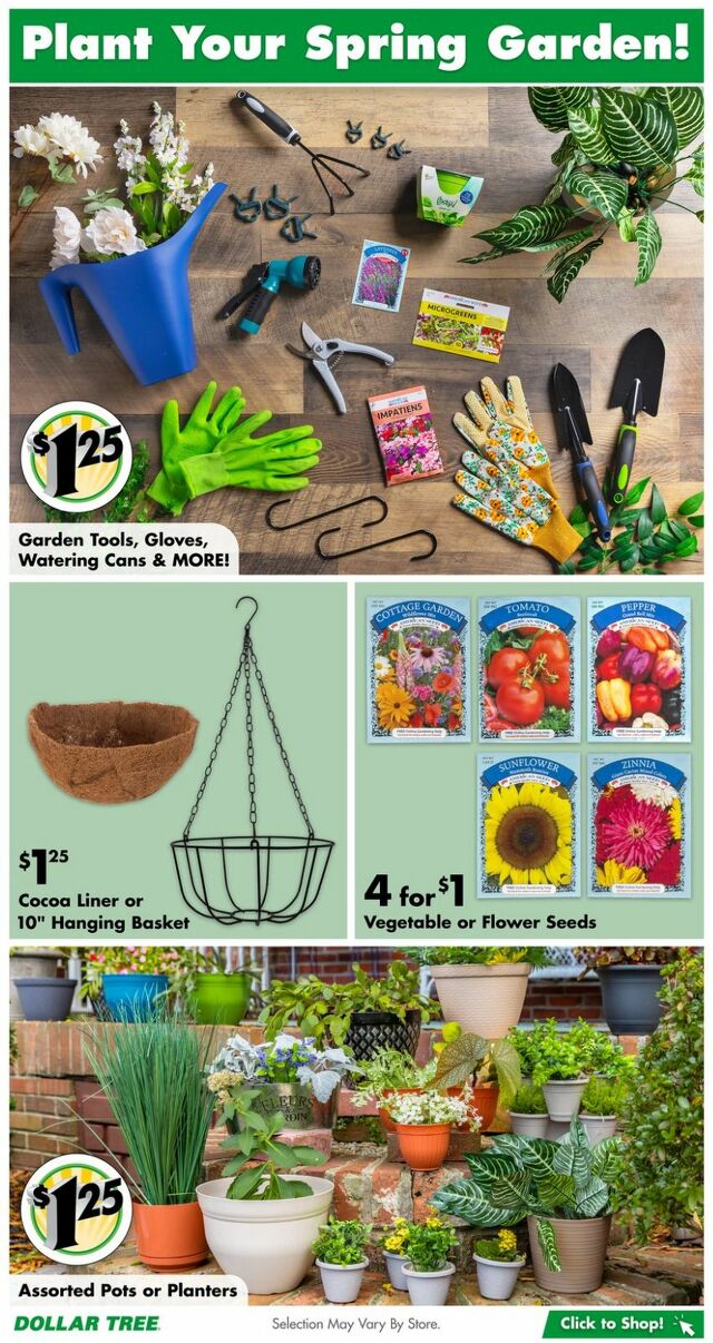 Catalogue Dollar Tree from 12/26/2023