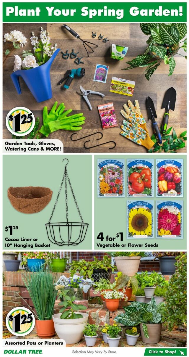 Catalogue Dollar Tree from 12/26/2023