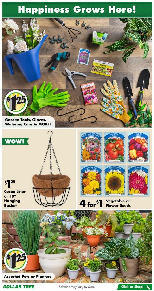 Catalogue Dollar Tree from 01/28/2024