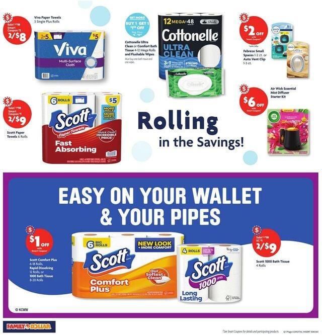 Catalogue Family Dollar from 06/01/2025