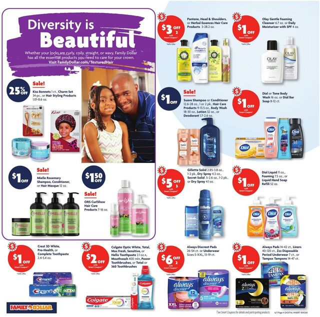 Catalogue Family Dollar from 06/01/2025