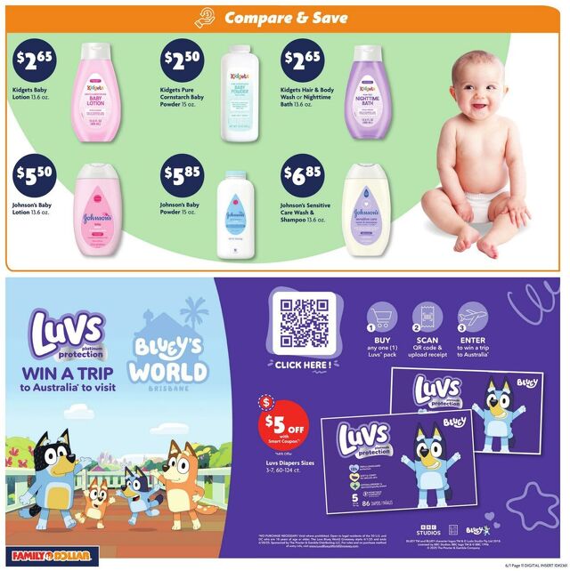 Catalogue Family Dollar from 06/01/2025